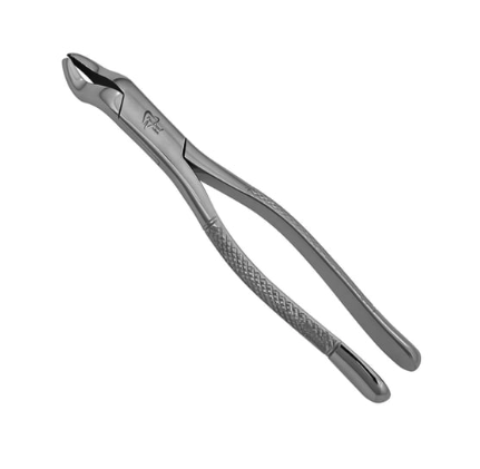 Fórceps Dental. Fórceps. N ° 53 derecho.