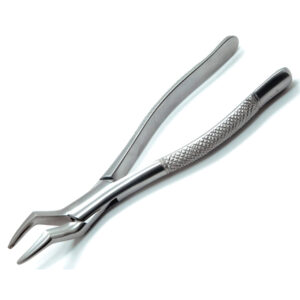 forceps dentales bayoneta