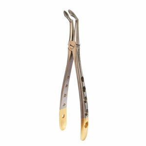 forceps extraccion dental