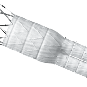 Sistemas de endoprótesis para tratamiento de aneurismas. Endoprótesis abdominal bifurcada con accesorios. Estéril. Diámetro: 34 x 16 mm. Longitud: 170 mm. Pieza.