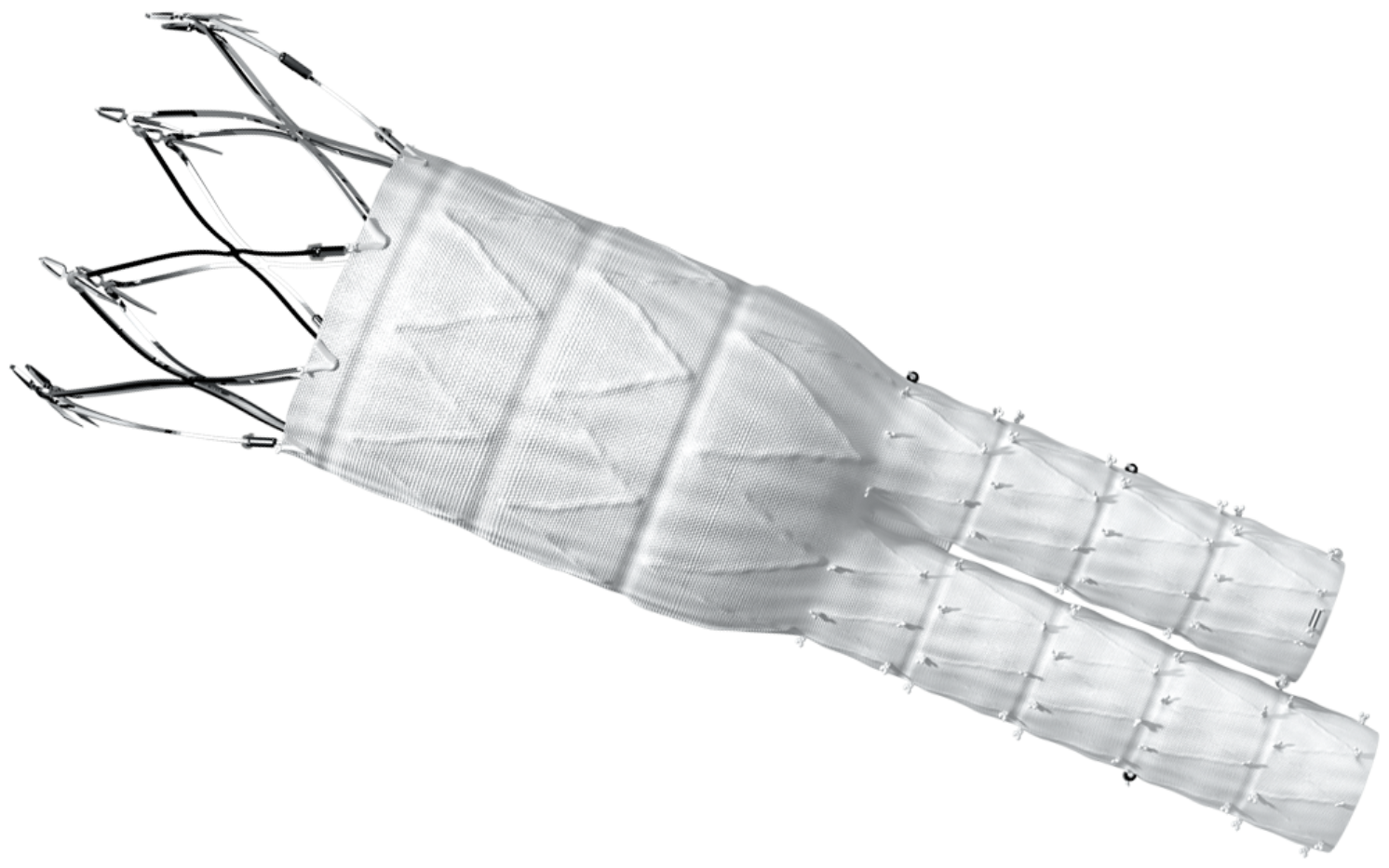 Sistemas de endoprótesis para tratamiento de aneurismas. Endoprótesis abdominal bifurcada con accesorios. Estéril. Diámetro: 34 x 16 mm. Longitud: 170 mm. Pieza.